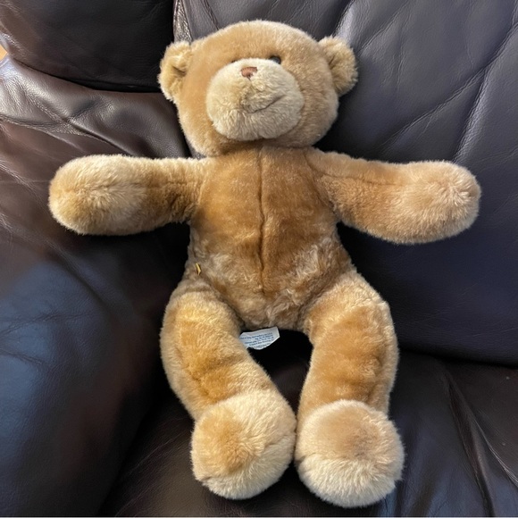 Build-A-Bear Other - Build-A-Bear Teddy Bear